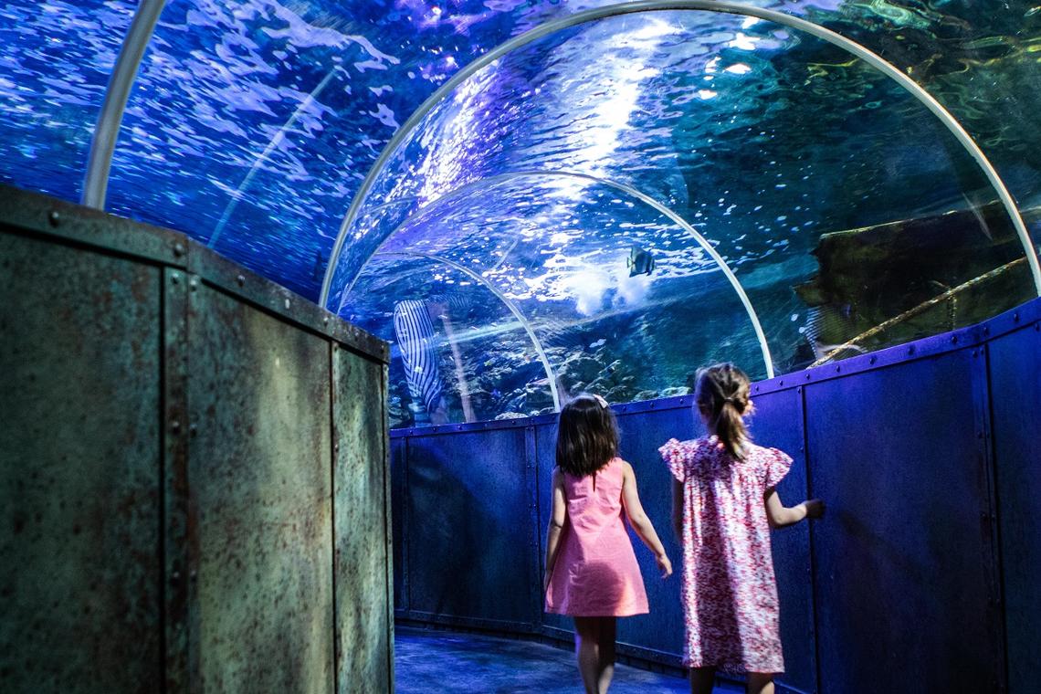 Le grand aquarium de Touraine 2